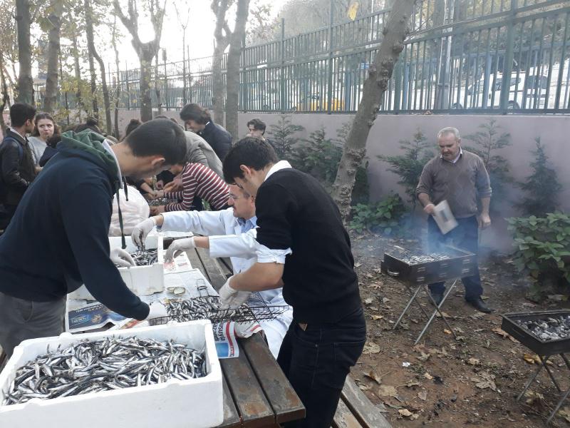 HAMSİ MANGAL