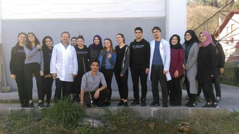 12A ağaç dikme etkinliği