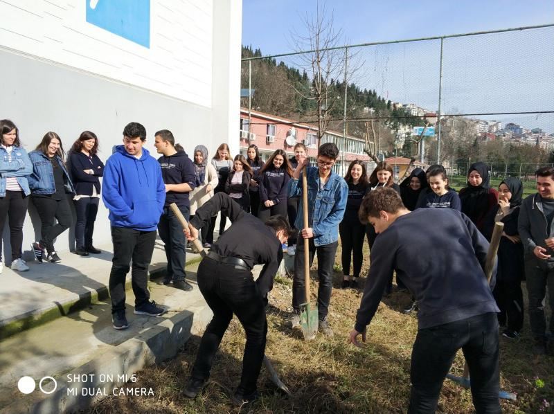12A ağaç dikme etkinliği
